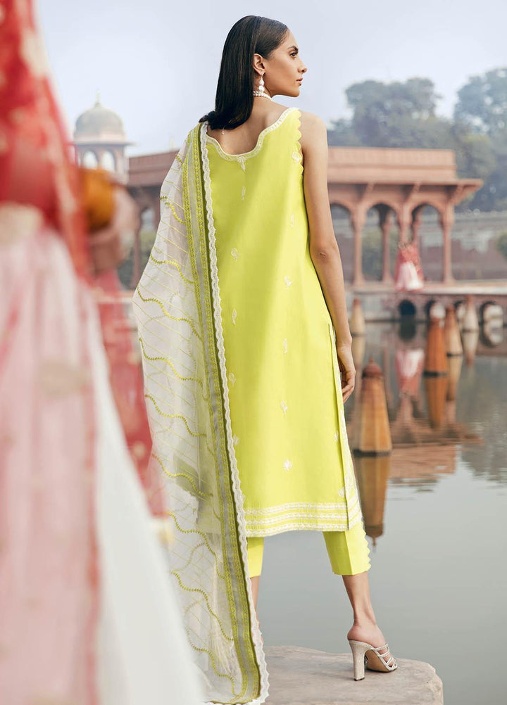 Dastaan By Panache Embroidered Lawn Suits Unstitched 3 Piece PN21D 04 - Luxury Collection