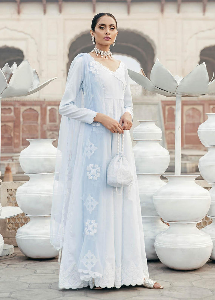 Dastaan By Panache Embroidered Lawn Suits Unstitched 3 Piece PN21D 06 - Luxury Collection