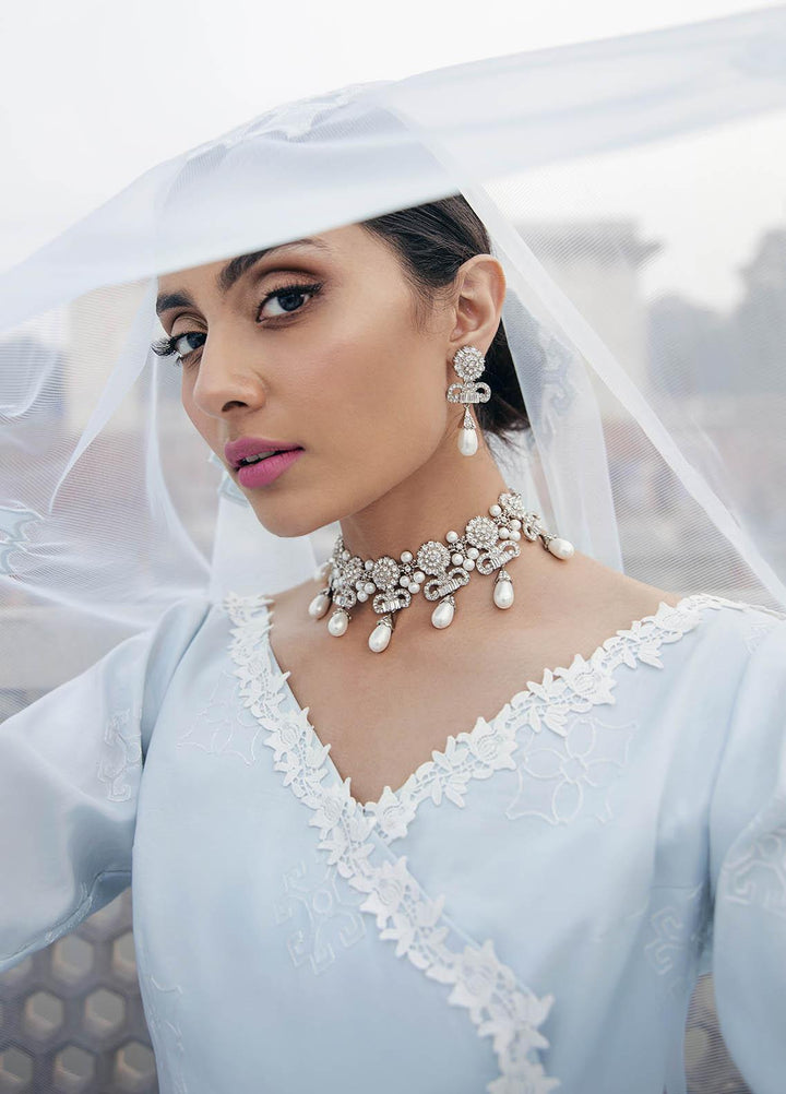 Dastaan By Panache Embroidered Lawn Suits Unstitched 3 Piece PN21D 06 - Luxury Collection