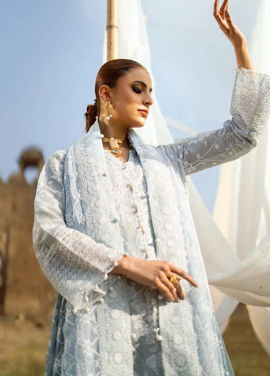 Pardes by Aik Atelier Embroidered Lawn Suit Unstitched 3 Piece AIK24P Look 05 - Summer Collection