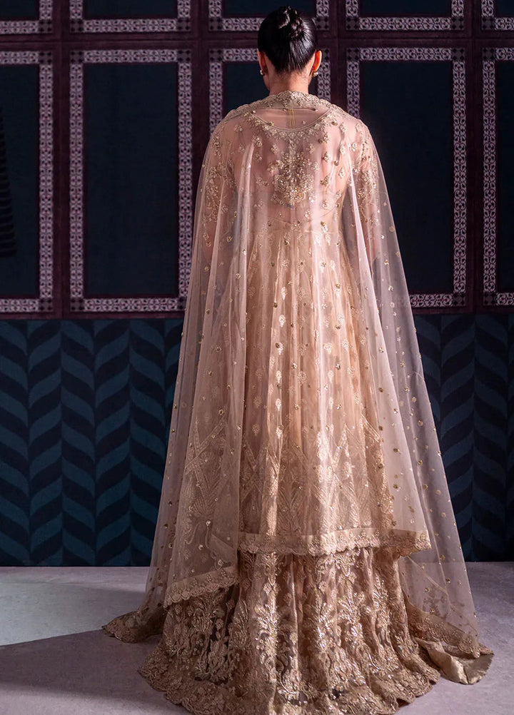 Parinaaz By Neeshay Embroidered Net Suit Unstitched 3 Piece NSH24P Zarifa - Formal Collection