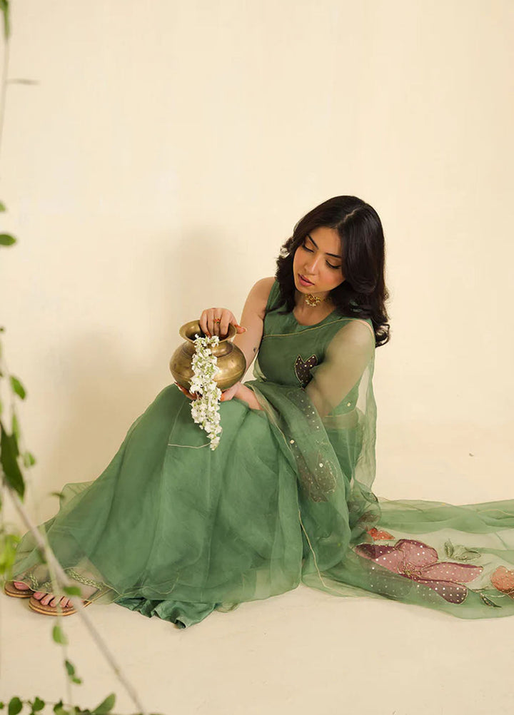 Pashma Khan Embroidered Saree Fareeha