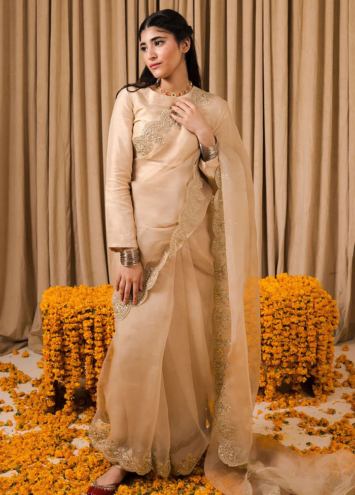 Pashma Khan Embroidered Saree Zarnoor