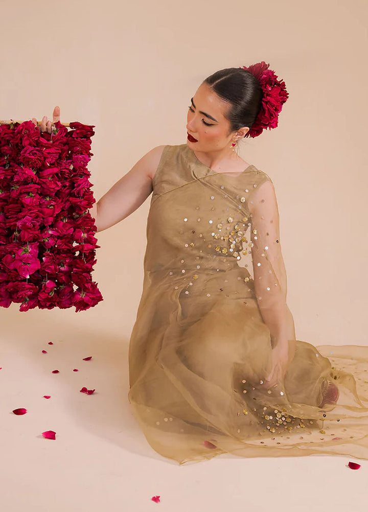 Pashma Khan Embroidered Saree Zurah