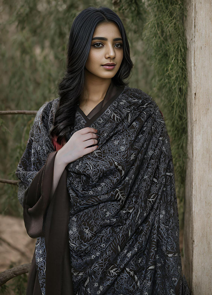 Sanaulla Exclusive Range  Pashmina  KPS 781 D-56 D Brown - Women Shawls