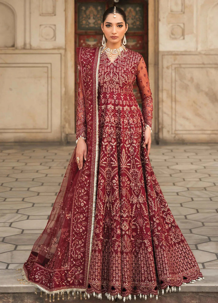 Pehli Nazar by Ayzel Embroidered Net Suit Unstitched 3 Piece AAF24P D-01 Zulekha - Festive Collection