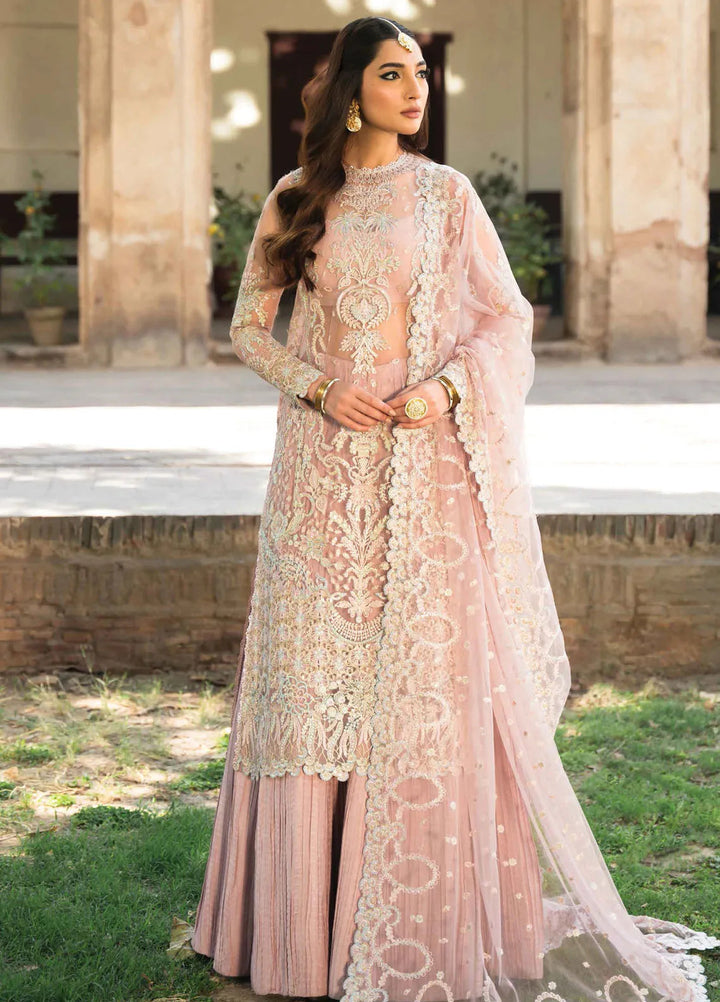 Pehli Nazar by Ayzel Embroidered Net Suit Unstitched 3 Piece AAF24P D-05 Mussarat - Festive Collection