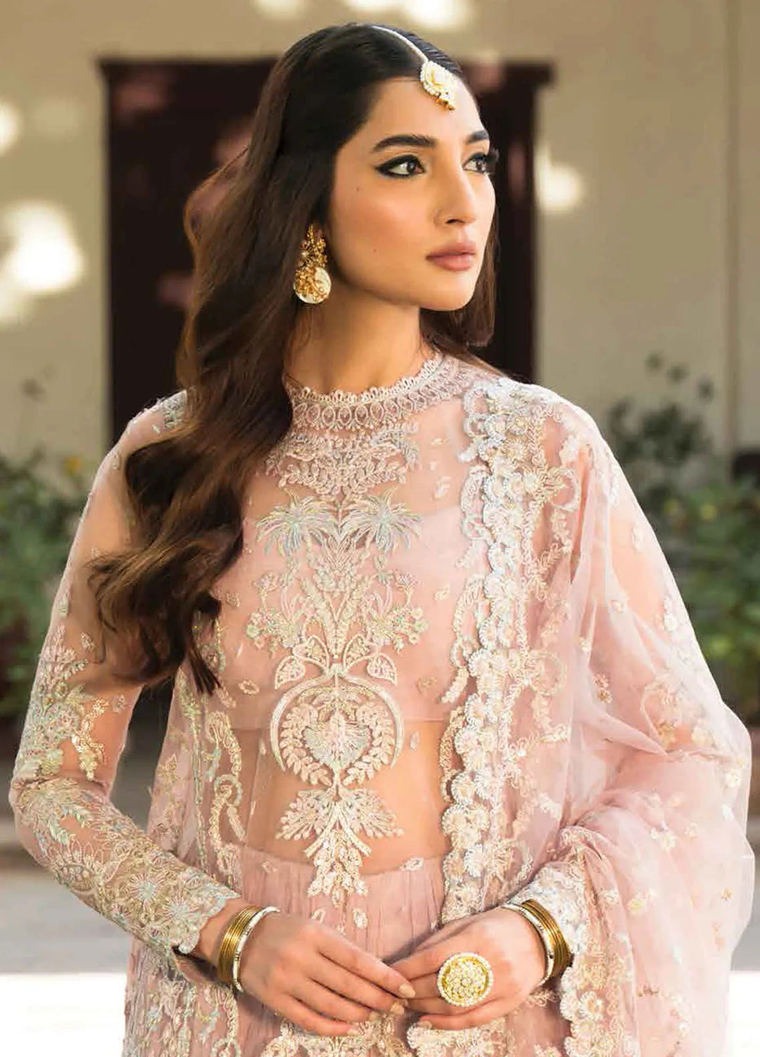 Pehli Nazar by Ayzel Embroidered Net Suit Unstitched 3 Piece AAF24P D-05 Mussarat - Festive Collection