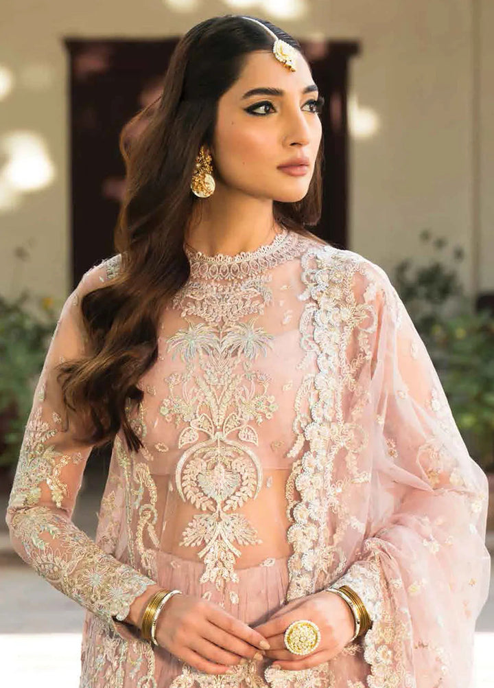 Pehli Nazar by Ayzel Embroidered Net Suit Unstitched 3 Piece AAF24P D-05 Mussarat - Festive Collection