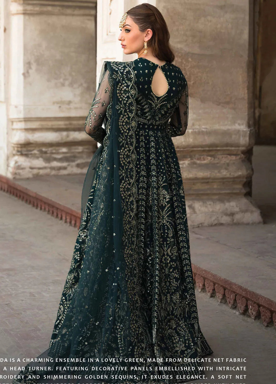 Pehli Nazar by Ayzel Embroidered Net Suit Unstitched 3 Piece AAF24P D-09 Farida - Festive Collection