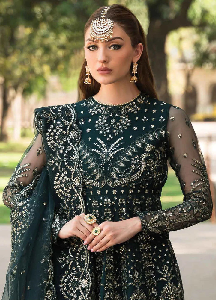 Pehli Nazar by Ayzel Embroidered Net Suit Unstitched 3 Piece AAF24P D-09 Farida - Festive Collection