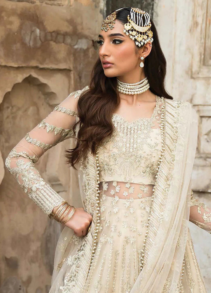 Pehli Nazar by Ayzel Embroidered Net Suit Unstitched 3 Piece AAF24P D-10 Shahana - Festive Collection