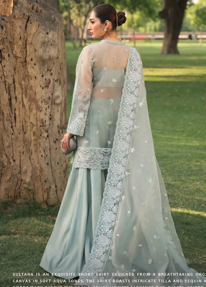 Pehli Nazar by Ayzel Embroidered Organza Suit Unstitched 3 Piece AAF24P D-04 Sultana - Festive Collection