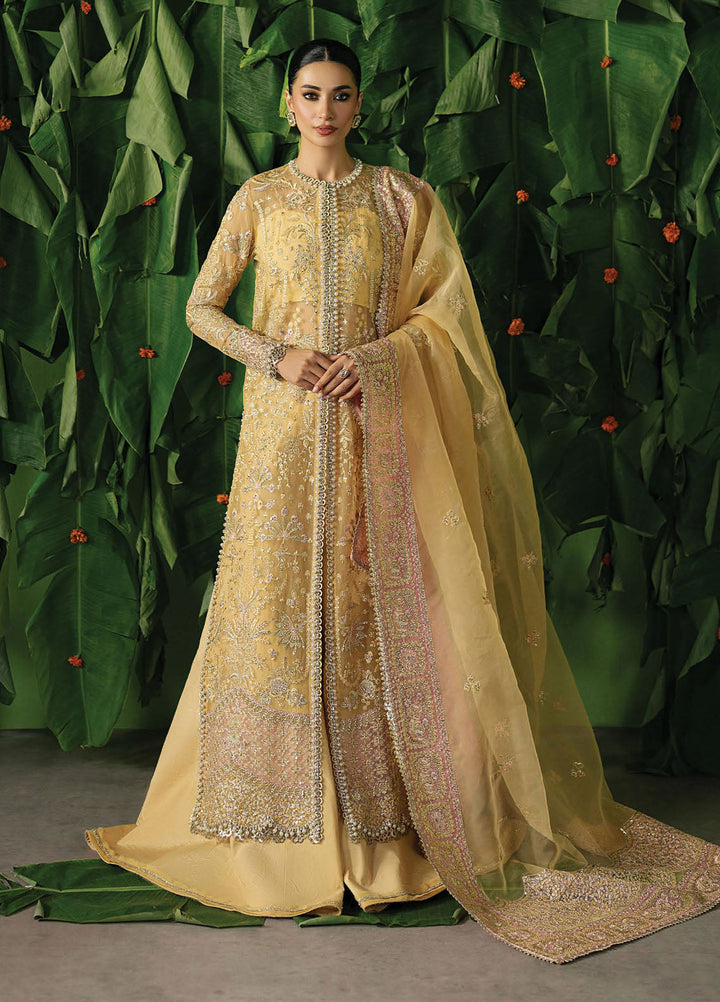 Pehli Nazar by Ayzel Embroidered Organza Suits Unstitched 3 Piece AAFPZ25 D-03 Chahat - Formals Collection