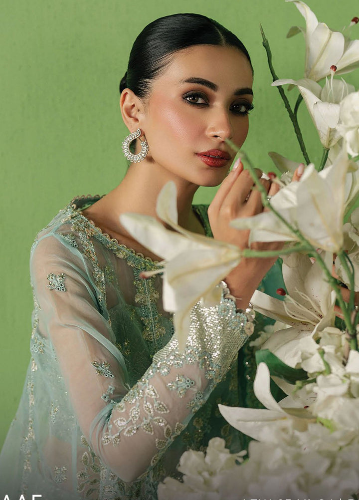 Pehli Nazar by Ayzel Embroidered Organza Suits Unstitched 3 Piece AAFPZ25 D-04 Zarbaaf - Formals Collection