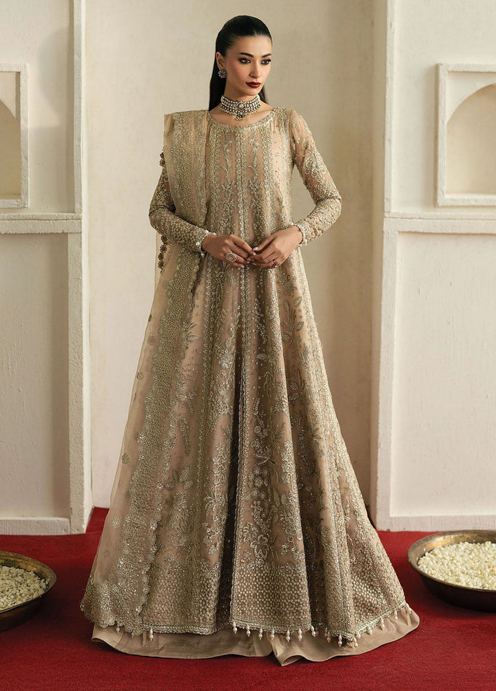 Pehli Nazar by Ayzel Embroidered Suits Unstitched 3 Piece AAFPZ25 D-06 Mehekti - Formals Collection