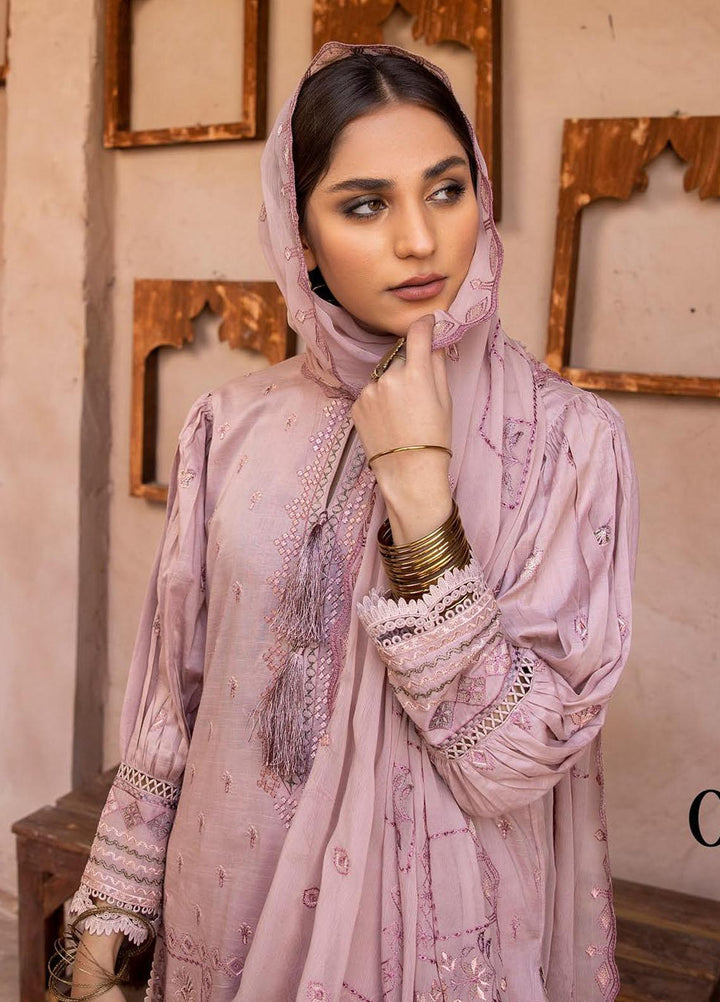 Pehnawa By Aalaya Embroidered Lawn Suits Unstitched 3 Piece ALY23P D-04 - Summer Collection