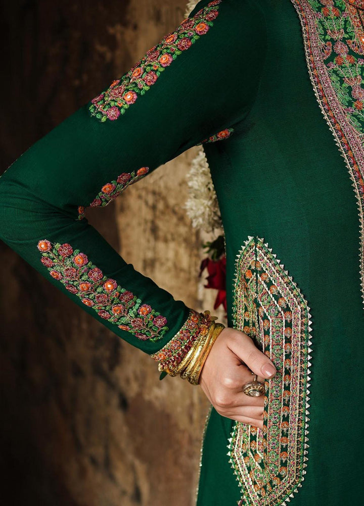 Phoolan Devi by Hussain Rehar Embroidered  Suits Unstitched 3 Piece HRR22PD Lamisa - Winter Collection