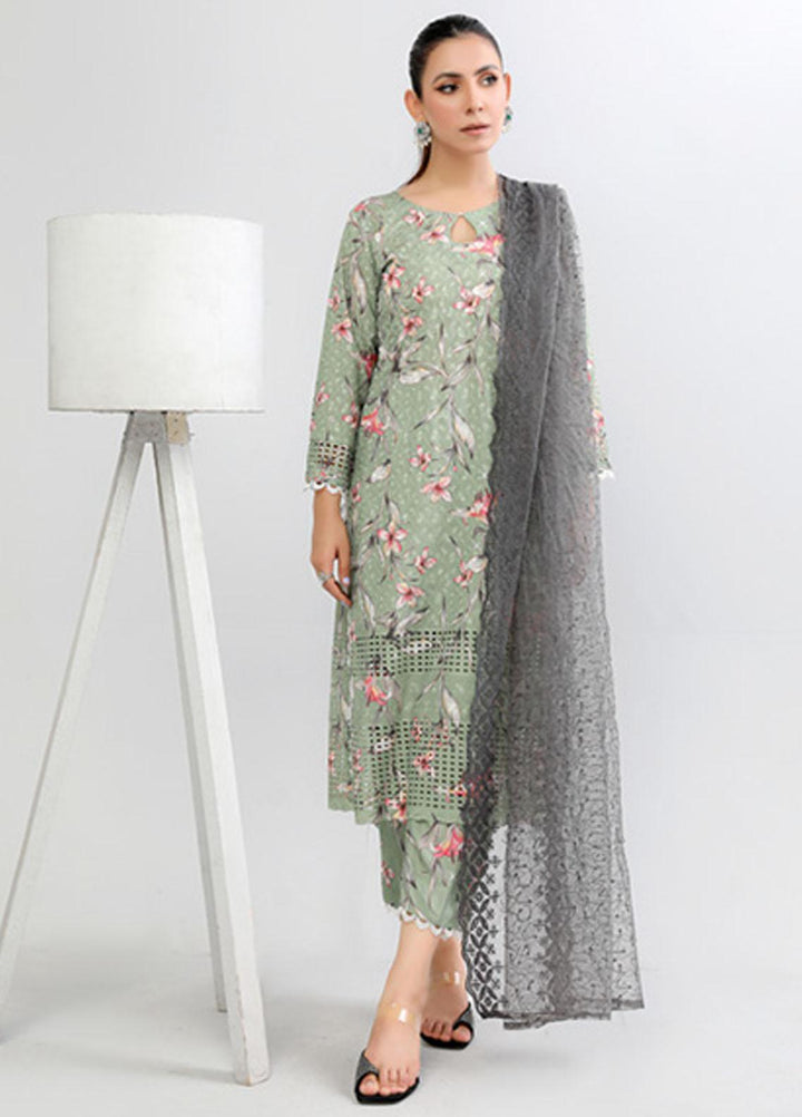 PrintKari By Noorma Kaamal Chikankari Schiffli Suits Unstitched 3 Piece NK23PK NK-DCP-07 - Summer Collection