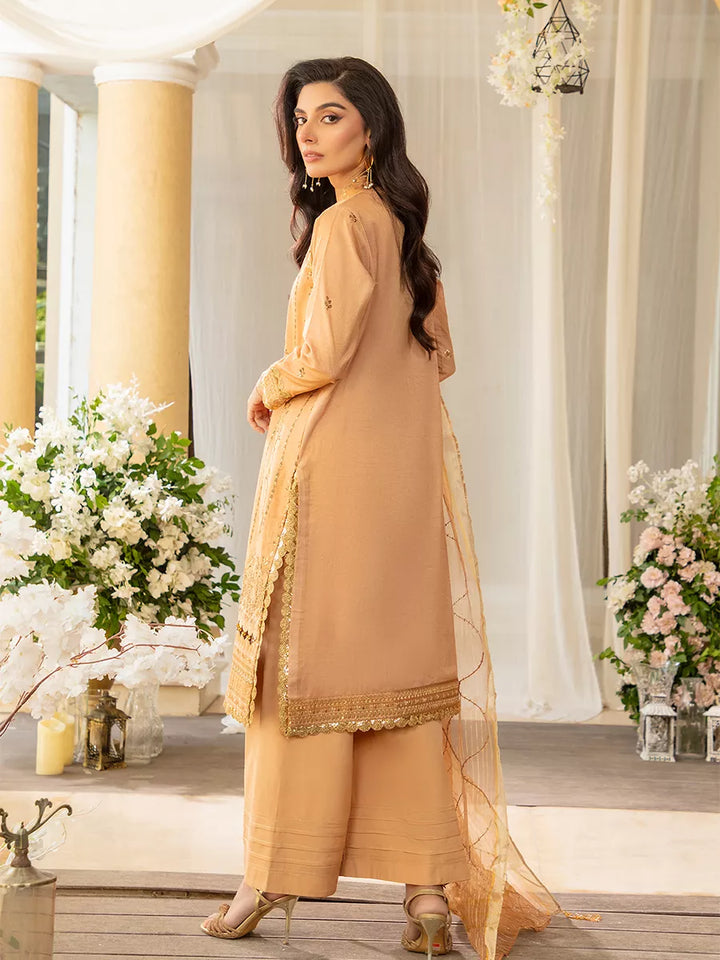 Jashn e Noor by Salitex Unstitched Embroidered 3 Piece Net SUNW7NO086 - Summer Collection