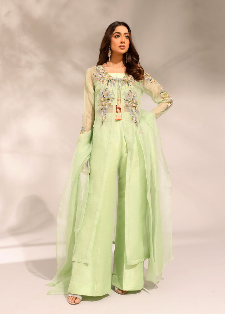 Manzilen by Ibraysha Women RTW Hand work Organza 4 Piece Suit Naznin - Festive Collection