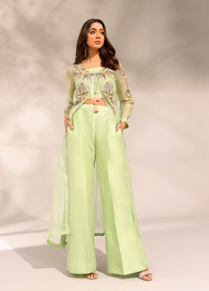 Manzilen by Ibraysha Women RTW Hand work Organza 4 Piece Suit Naznin - Festive Collection