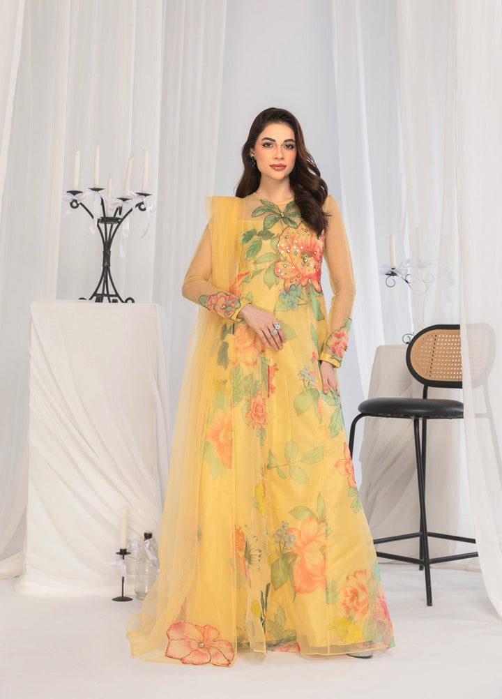 Afsana e Noor by Ibraysha RTW Embroidered Organza 4 Piece Suit Noor-E-Zarin - Festive Collection
