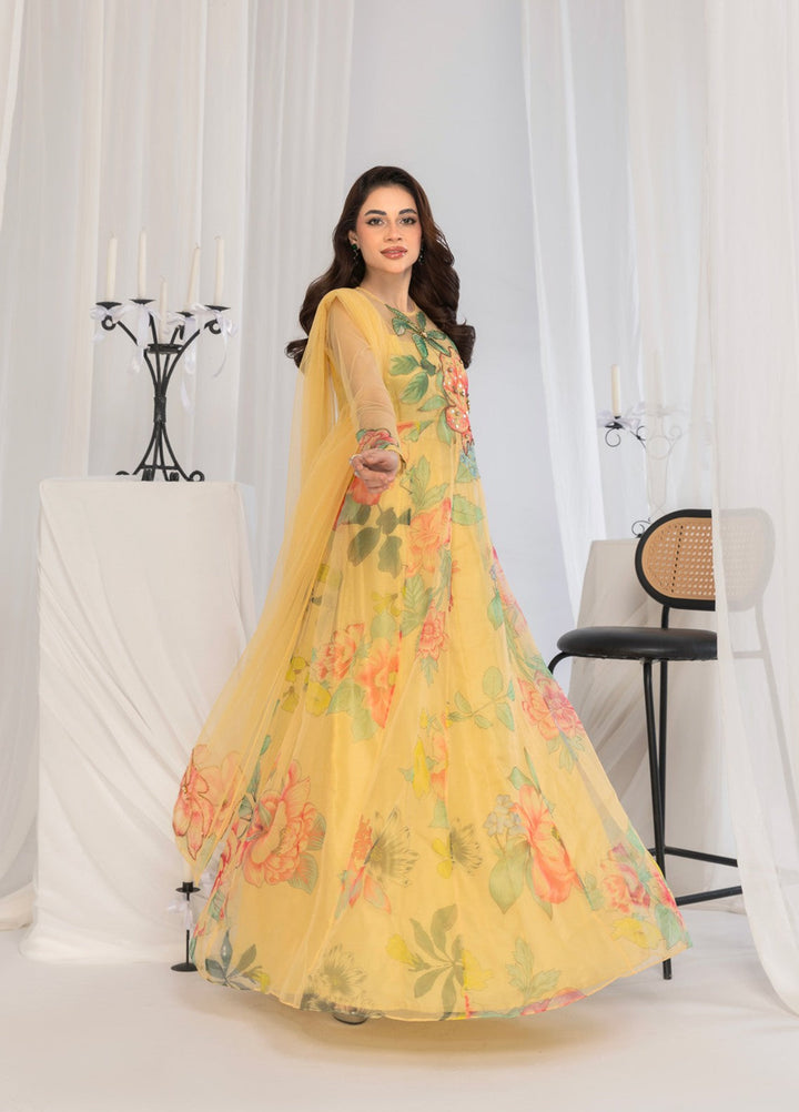 Afsana e Noor by Ibraysha RTW Embroidered Organza 4 Piece Suit Noor-E-Zarin - Festive Collection