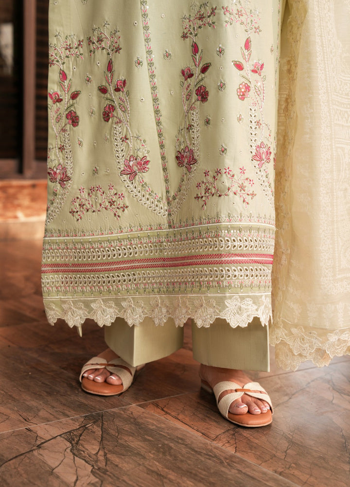 Mehrang by Pashmire RTW Embroidered Lawn Cotton 3 Piece Suit Arezal Casual Collection