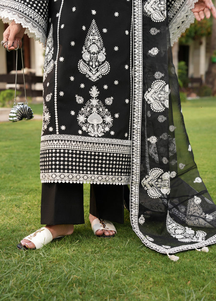 Mehrang by Pashmire RTW Embroidered Lawn Cotton 3 Piece Suit Abeere Casual Collection