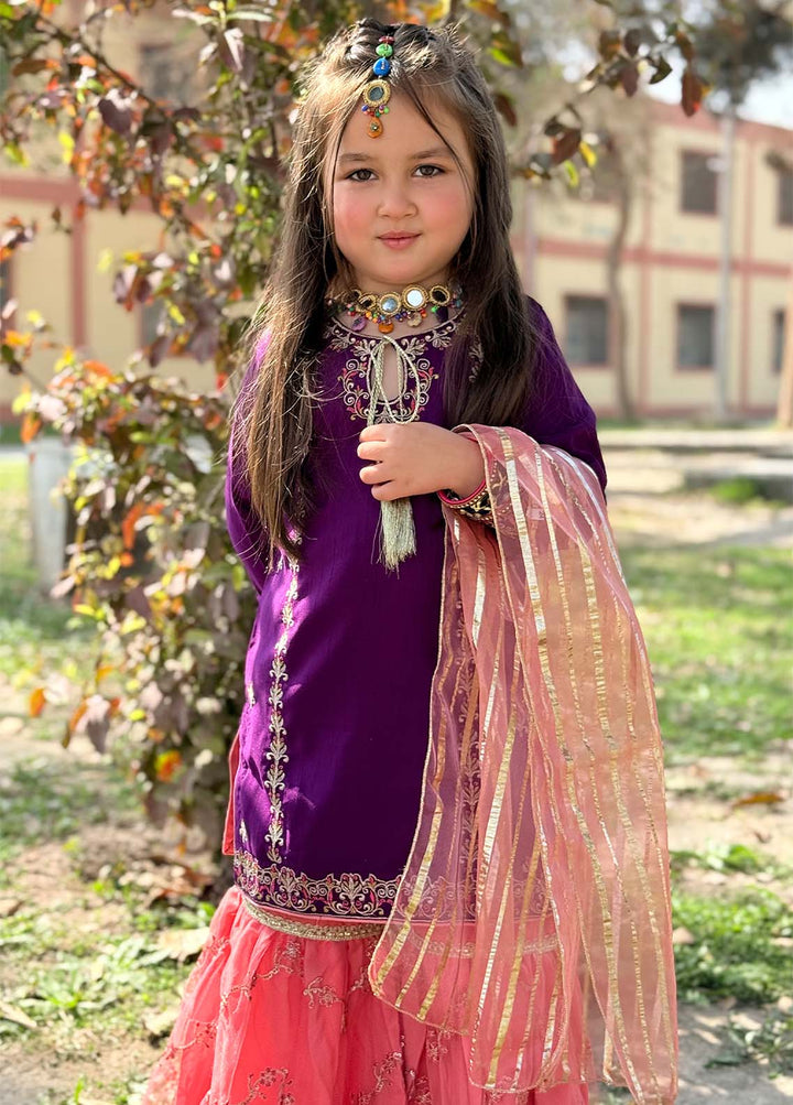 Modest Pret Embroidered Rawsilk 3 Piece Suit Gulnoor - Purple