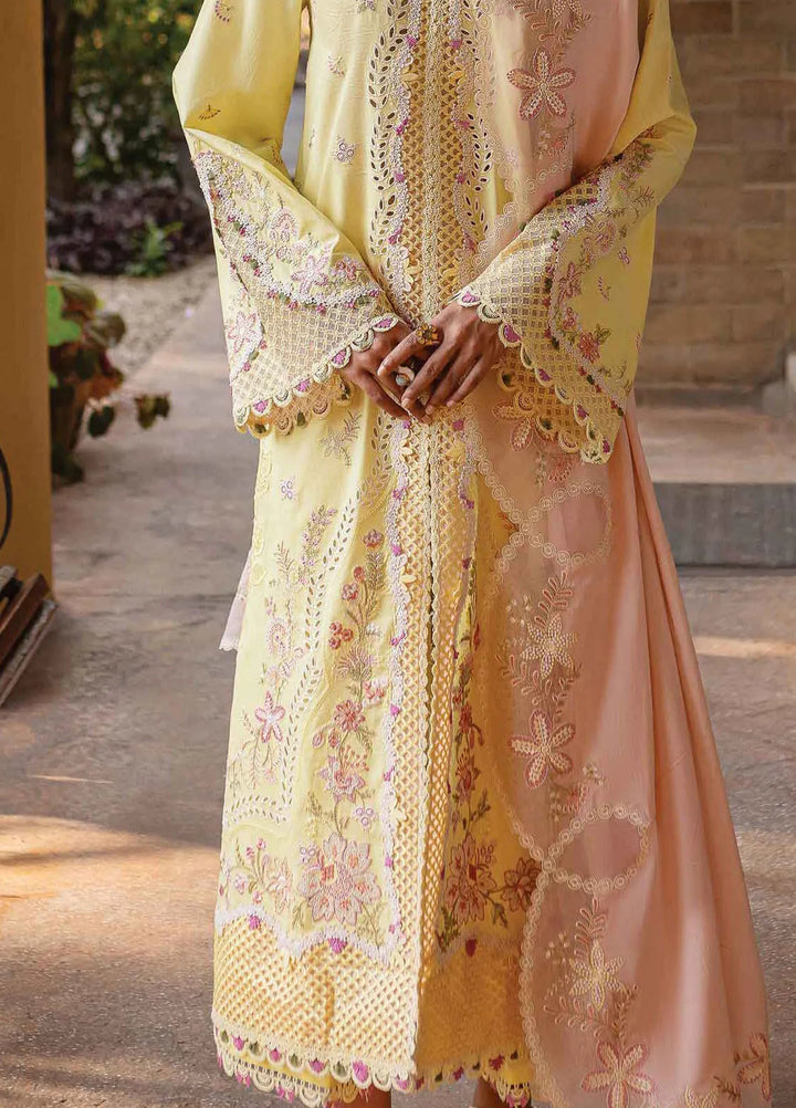 Q Line by Qalamkar Embroidered Lawn Suits Unstitched 3 Piece QLM25QL QM-11 Ina - Summer Collection