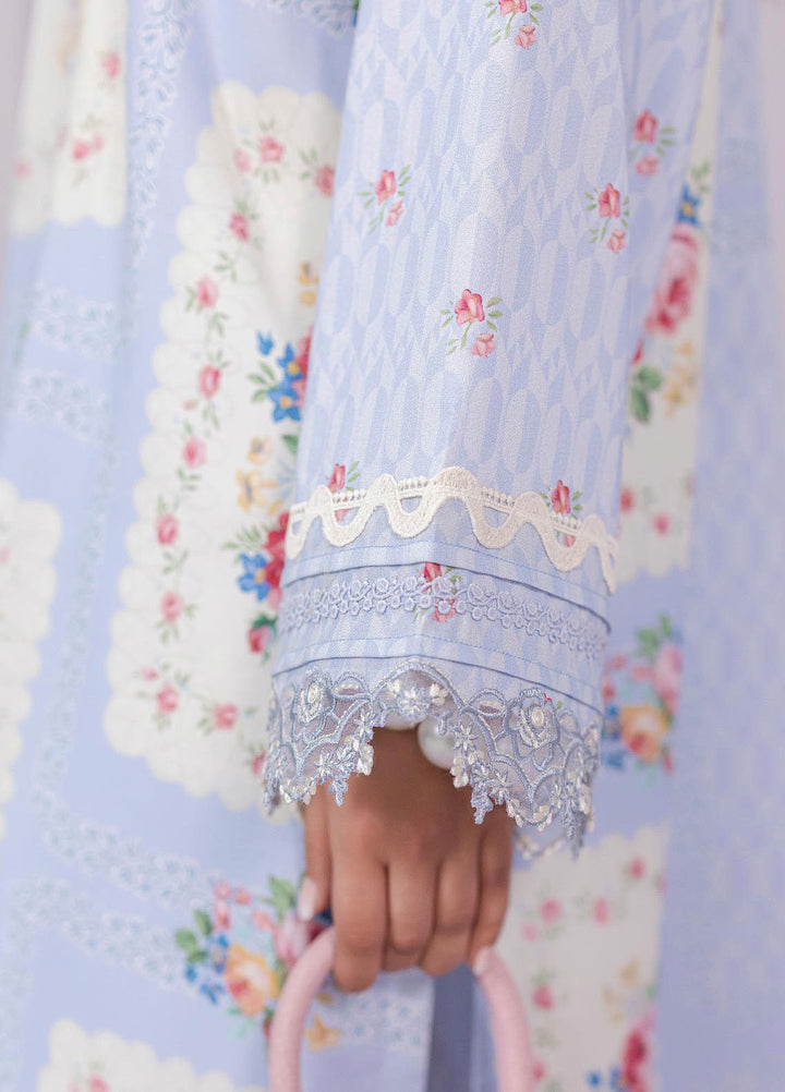 Q Prints by Qalamkar Embroidered Lawn Suits Unstitched 3 Piece QLM25QP D-02 A Esme - Summer Collection
