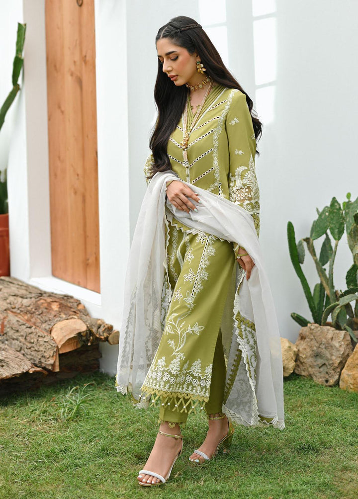 Qalamkar Pret Embroidered Lawn  3 Piece Suit QLM23-CP2 ZP-06 Dina