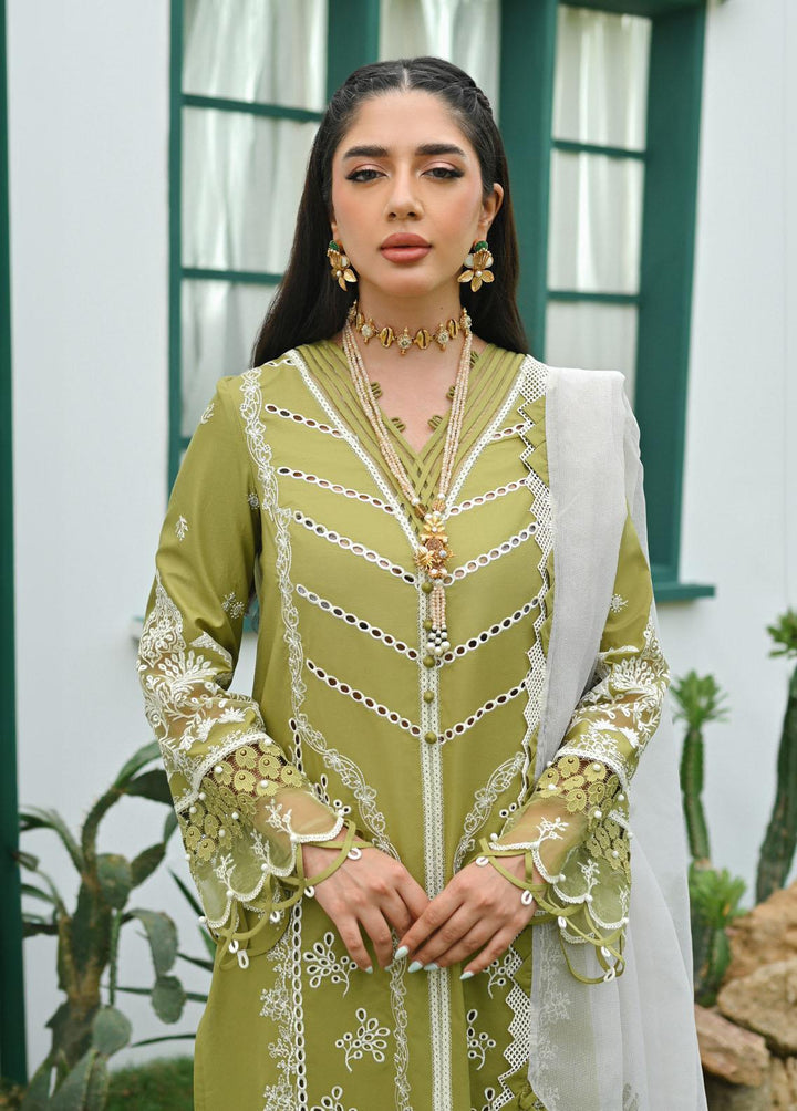 Qalamkar Pret Embroidered Lawn  3 Piece Suit QLM23-CP2 ZP-06 Dina