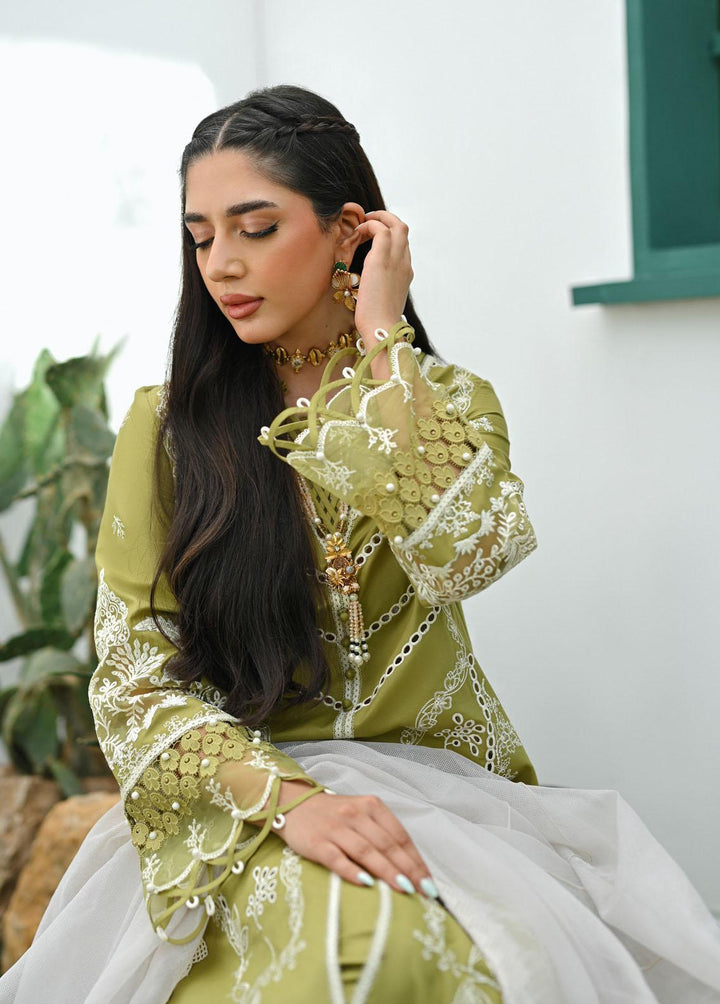 Qalamkar Pret Embroidered Lawn  3 Piece Suit QLM23-CP2 ZP-06 Dina