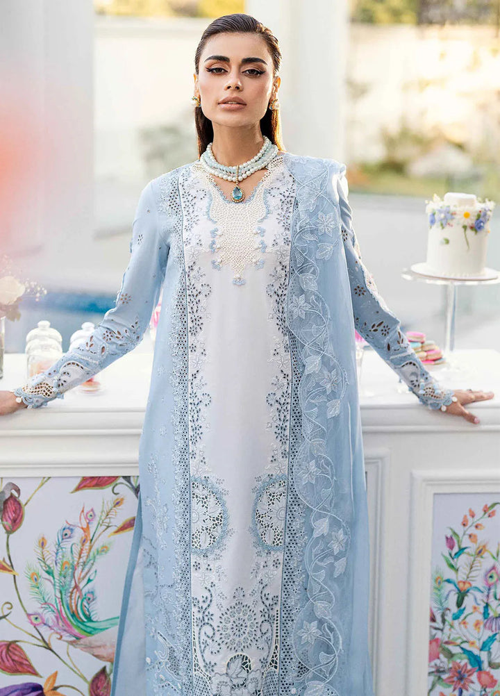 Qalamkar Chikankari Lawn Suit Unstitched 3 Piece QLM25CE CS-01 Tasha - Summer Collection