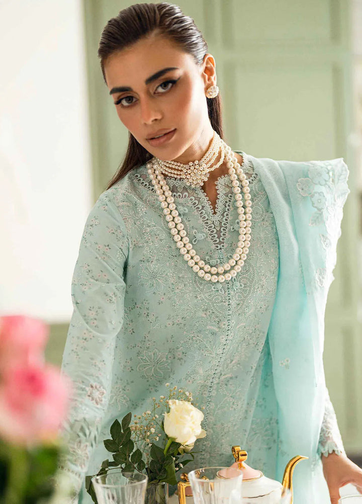 Qalamkar Chikankari Lawn Suit Unstitched 3 Piece QLM25CE CS-06 Neesha - Summer Collection