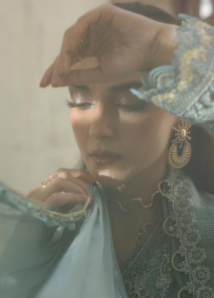 Qalamkar Embroidered Chiffon Suits Unstitched 3 Piece QLM25QC WC-08 Vevin - Formals Collection