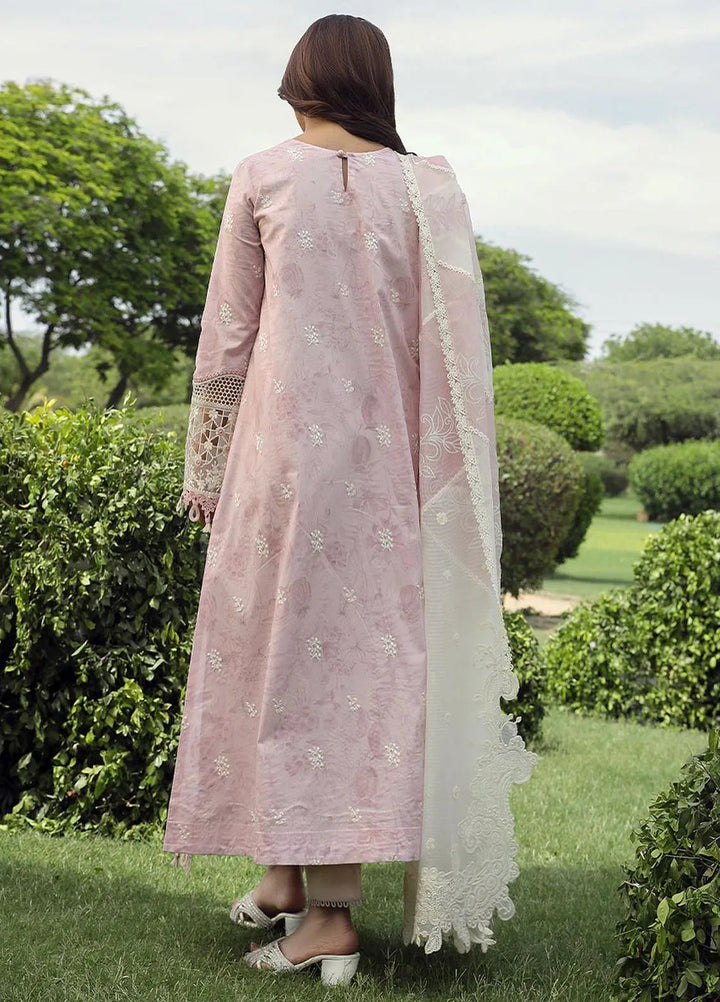 Qalamkar Embroidered Lawn Suit Unstitched 3 Piece QLM24F PS-09 Farva - Festive Collection