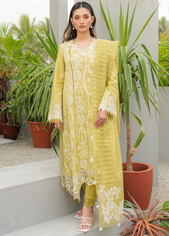 Qalamkar Embroidered Lawn Suits Unstitched 3 Piece QLM24Q JK-02 Melis - Summer Collection