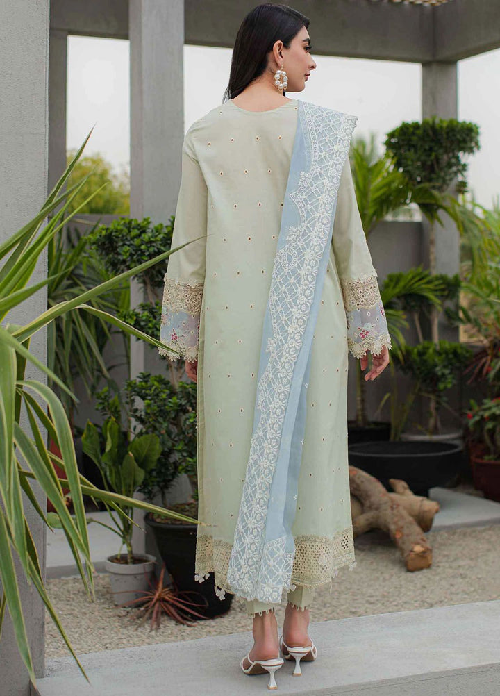 Qalamkar Embroidered Lawn Suits Unstitched 3 Piece QLM24Q JK-04 Aster - Summer Collection