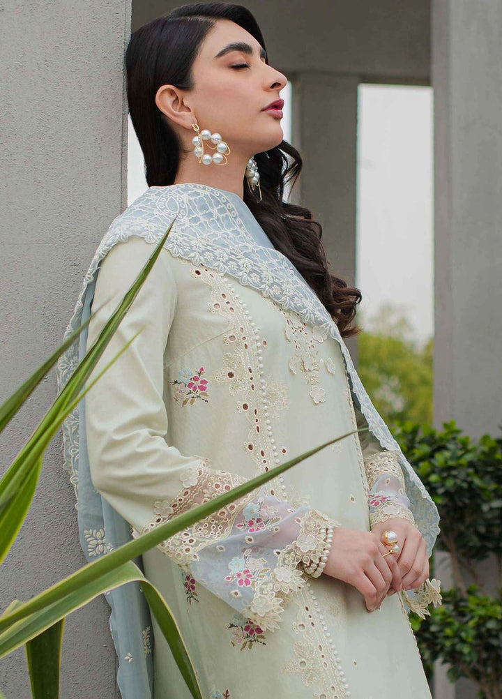 Qalamkar Embroidered Lawn Suits Unstitched 3 Piece QLM24Q JK-04 Aster - Summer Collection