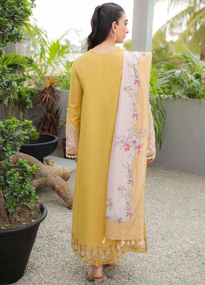 Qalamkar Embroidered Lawn Suits Unstitched 3 Piece QLM24Q JK-15 Miel - Summer Collection