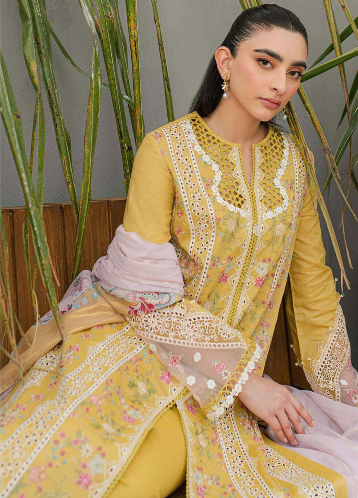 Qalamkar Embroidered Lawn Suits Unstitched 3 Piece QLM24Q JK-15 Miel - Summer Collection