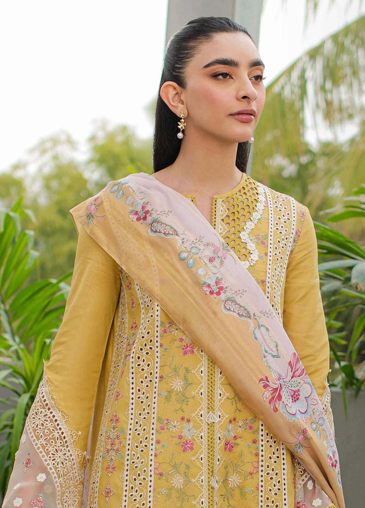 Qalamkar Embroidered Lawn Suits Unstitched 3 Piece QLM24Q JK-15 Miel - Summer Collection