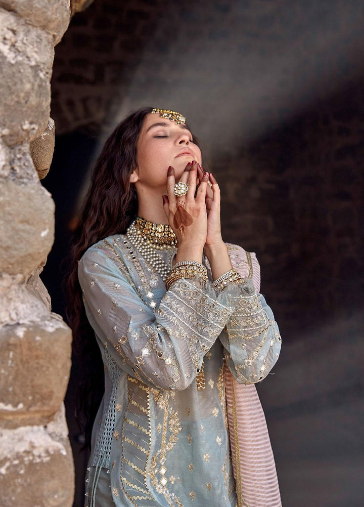 Qalamkar Embroidered Organza Suits Unstitched 3 Piece QLM21F 05 - Festive Collection