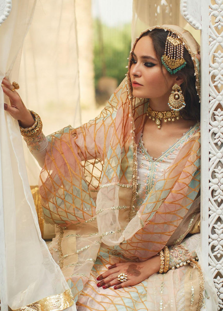 Qalamkar Embroidered Doria Suits Unstitched 3 Piece QLM21F 06 - Festive Collection