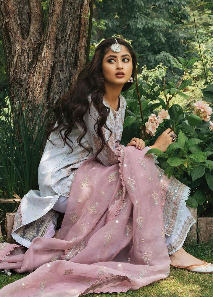 Rahi By Qalamkar Embroidered Lawn Suits Unstitched 3 Piece QLM22R EB-01 Nora - Luxury Collection