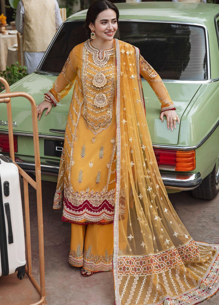 Qalamkar Embroidered Organza Suits Unstitched 3 Piece QLM21SH SM-02 - Formals Collection
